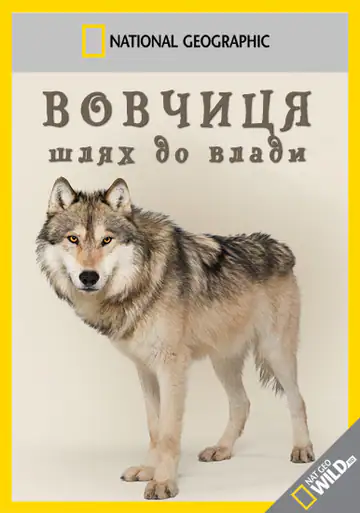 Вовчиця - шлях до влади