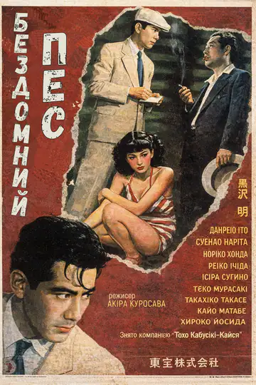 Бездомний пес